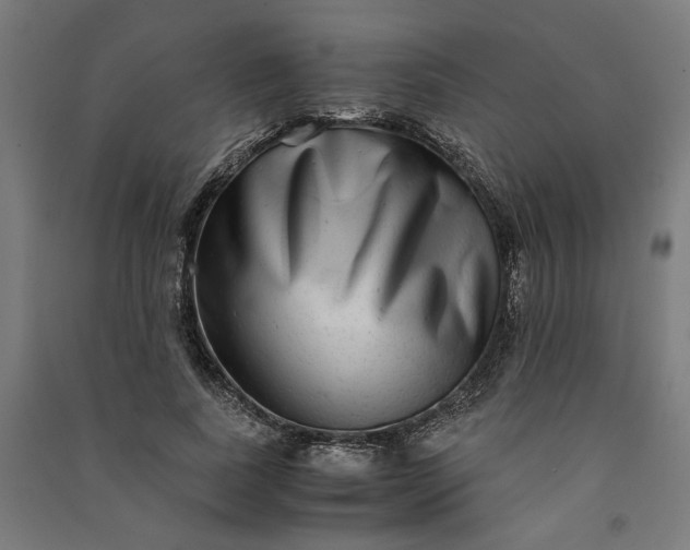 X0000091060739200708201345