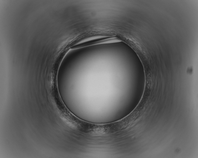 X0000091060740200708201345