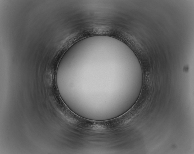 X0000091060741200708201345