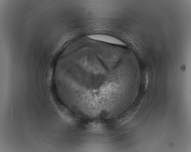 X0000091060742200708201345
