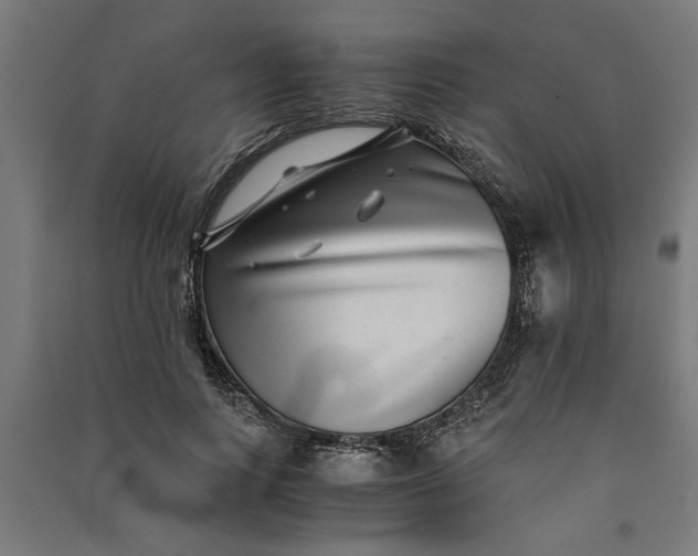 X0000091060743200708201345