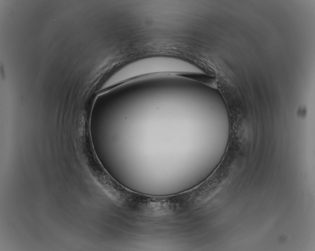 X0000091060744200708201345