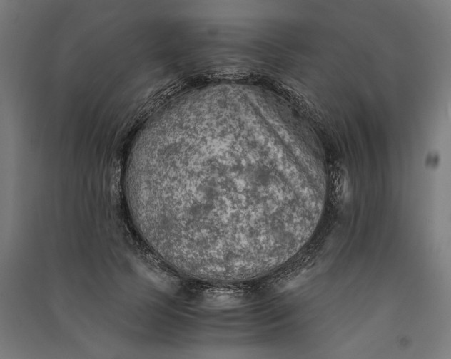 X0000091060745200708201345