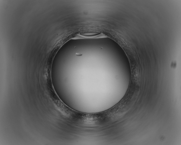 X0000091060746200708201345