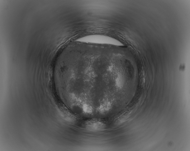 X0000091060747200708201345