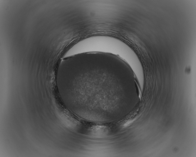 X0000091060748200708201345