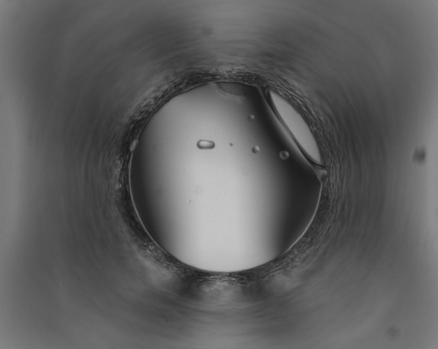X0000091060750200708201345