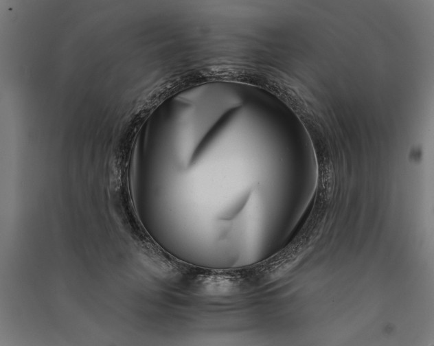 X0000091060751200708201345