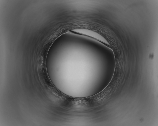 X0000091060752200708201345