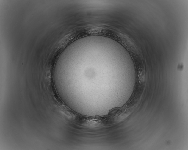 X0000091060753200708201345