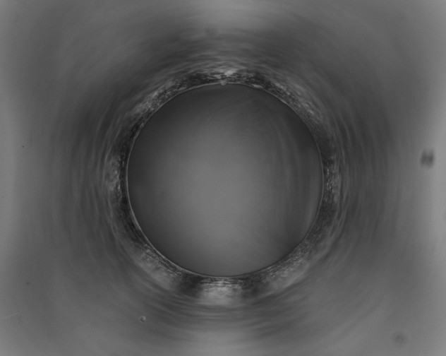 X0000091060754200708201345