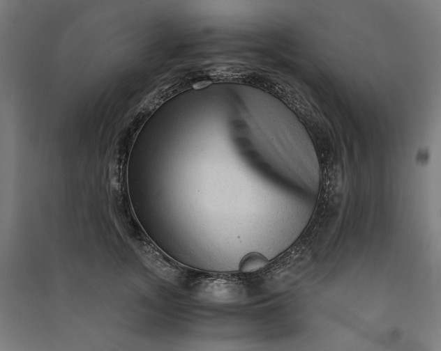 X0000091060755200708201345