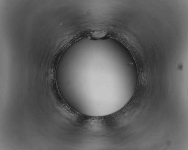 X0000091060756200708201345