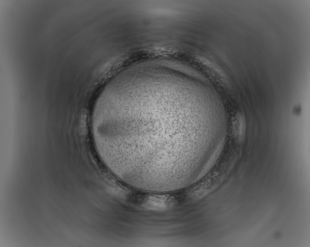 X0000091060757200708201345