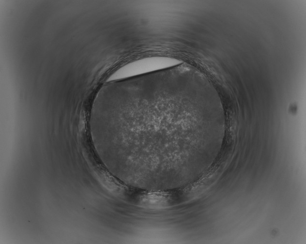 X0000091060758200708201345