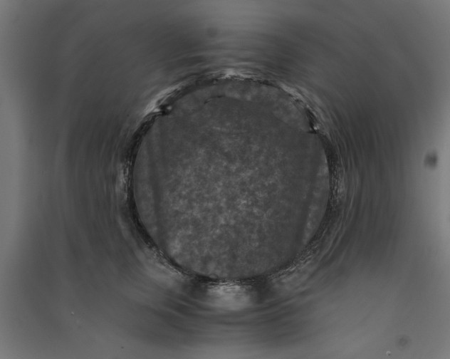 X0000091060759200708201345
