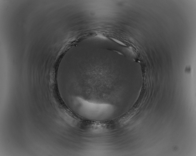 X0000091060760200708201345