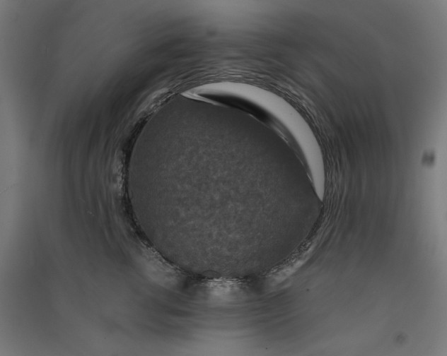 X0000091060762200708201345