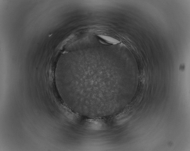 X0000091060763200708201345