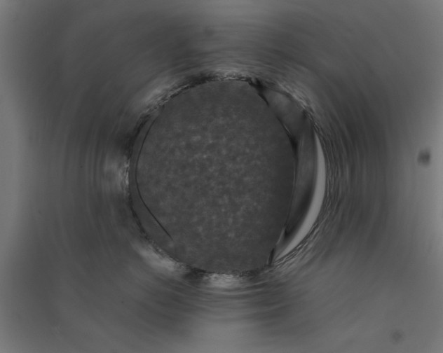 X0000091060766200708201345