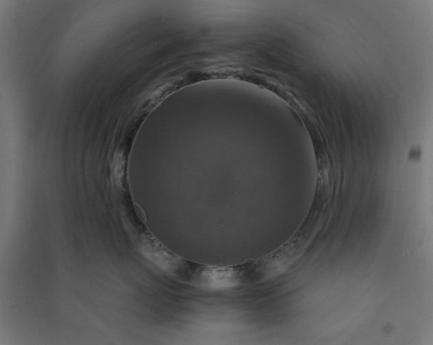 X0000091060767200708201345