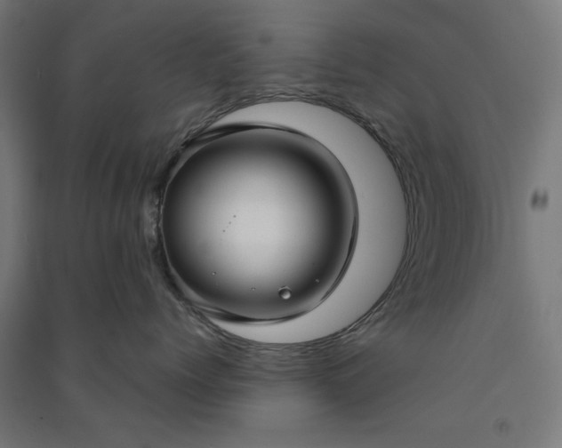 X0000091060768200708201345