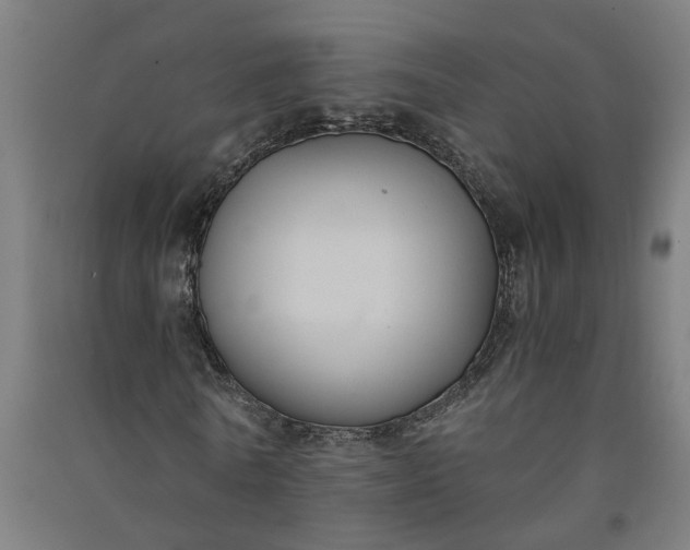 X0000091060770200708201344