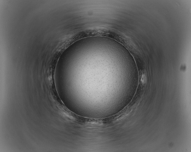 X0000091060771200708201344