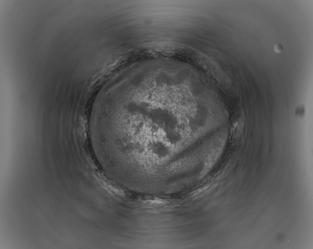 X0000091060772200708201344