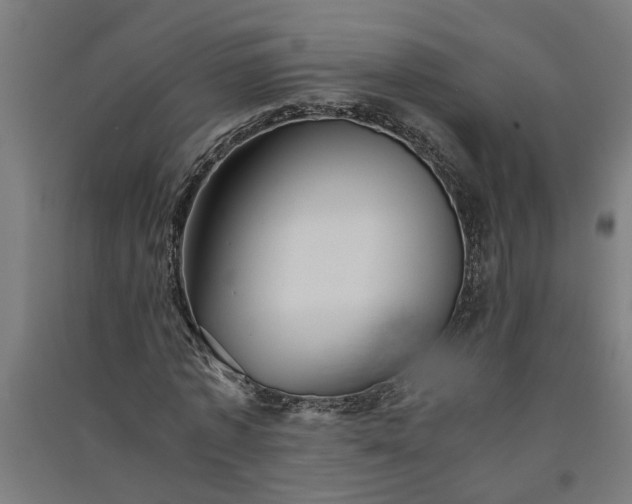 X0000091060773200708201344