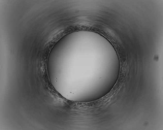 X0000091060774200708201344