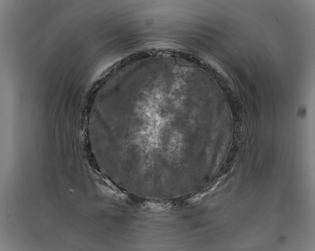 X0000091060775200708201344