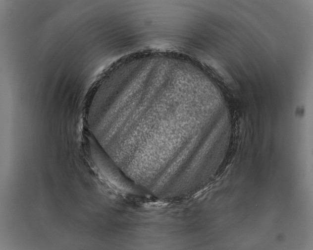 X0000091060776200708201344