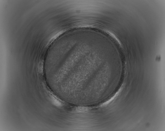 X0000091060777200708201344