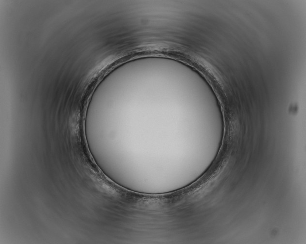 X0000091060778200708201344