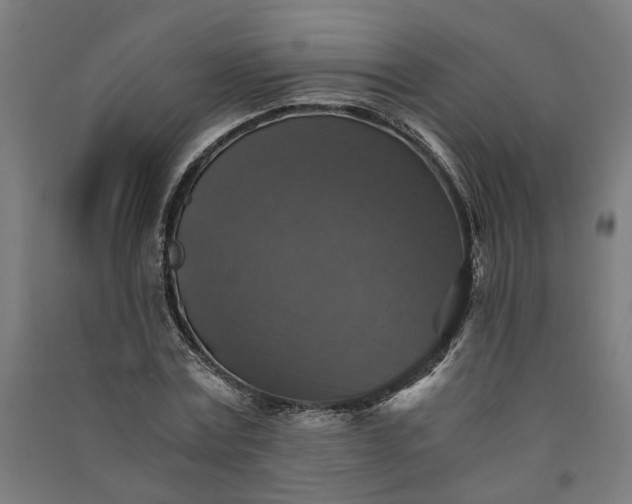 X0000091060779200708201344