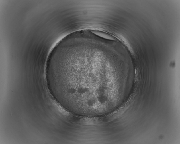 X0000091060780200708201344
