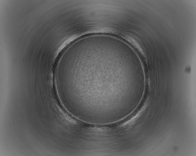 X0000091060781200708201344