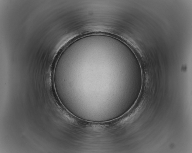 X0000091060782200708201344