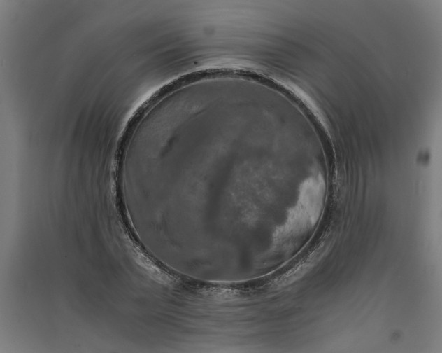 X0000091060783200708201344
