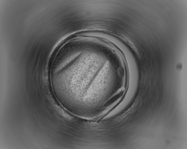 X0000091060784200708201344