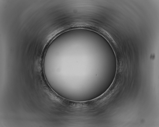 X0000091060786200708201344