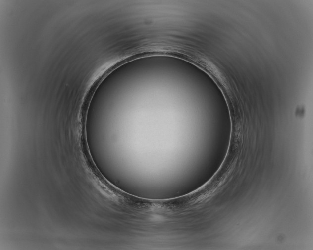 X0000091060787200708201344