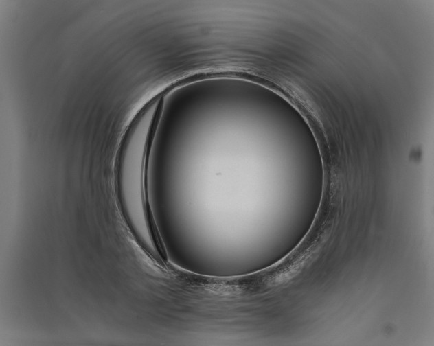 X0000091060789200708201344