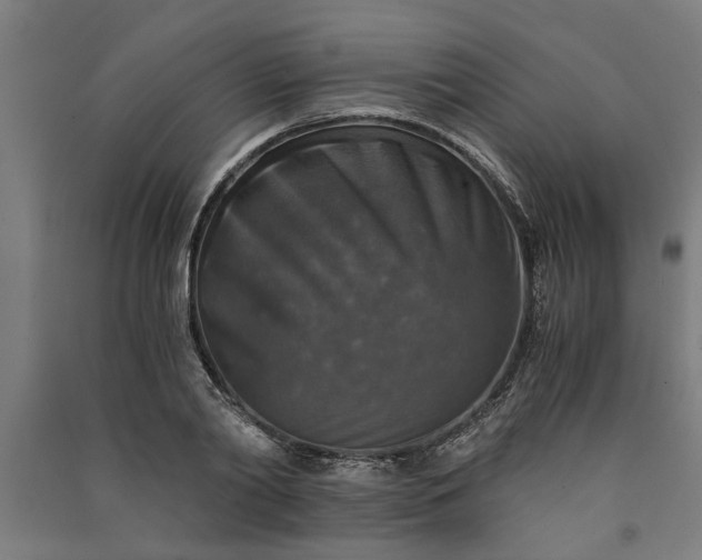 X0000091060790200708201344
