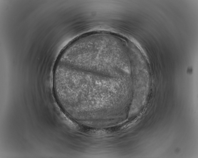 X0000091060791200708201344