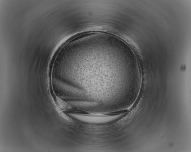 X0000091060792200708201344