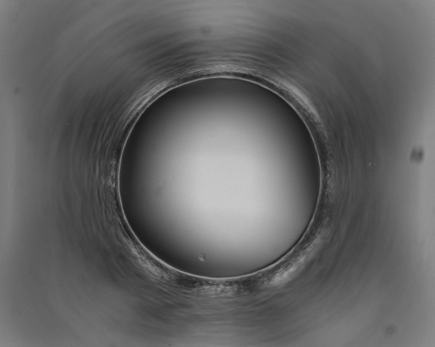 X0000091060793200708201344