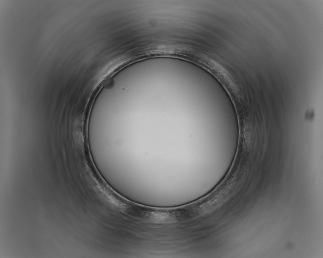 X0000091060794200708201344