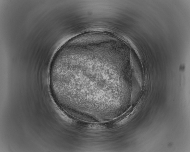 X0000091060795200708201344